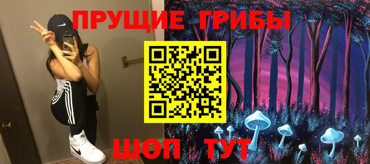 Псилоцибиновые грибы Psilocybe  Вход с VPN  купить   Псилоцибиновые грибы Cubensis  Черногорск 