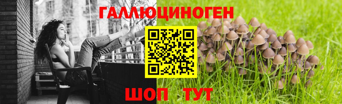 Псилоцибиновые грибы Cubensis Черногорск